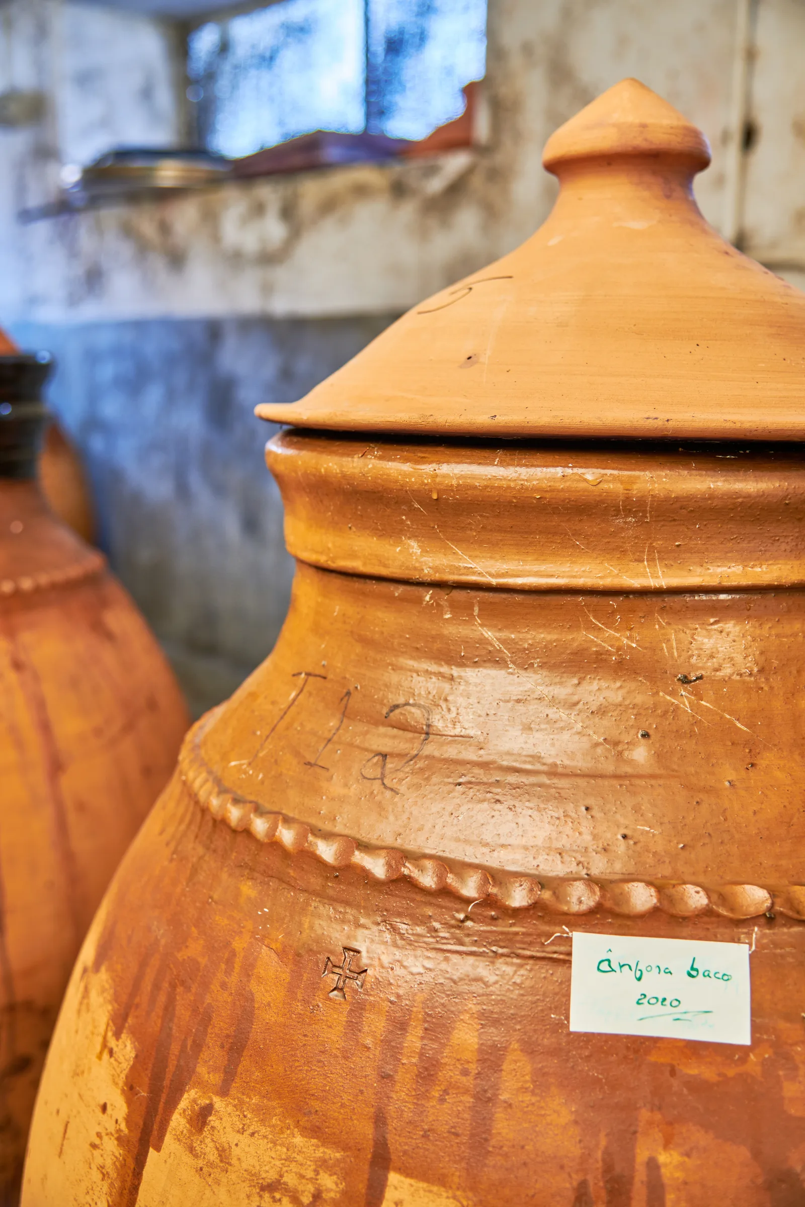 Quinta do Montalto — fotografia 14