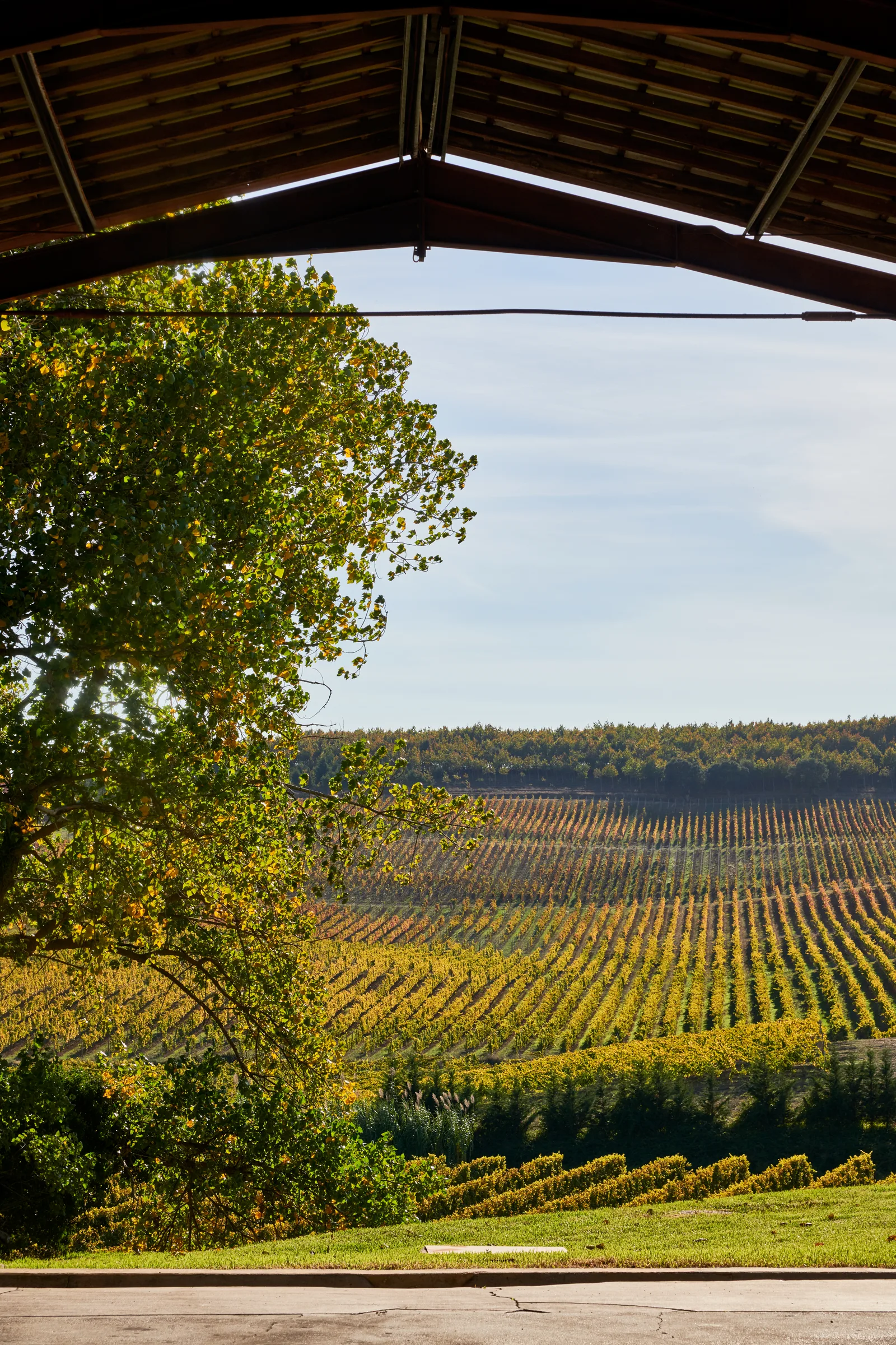 Quinta do Monte d'Oiro — fotografia 7