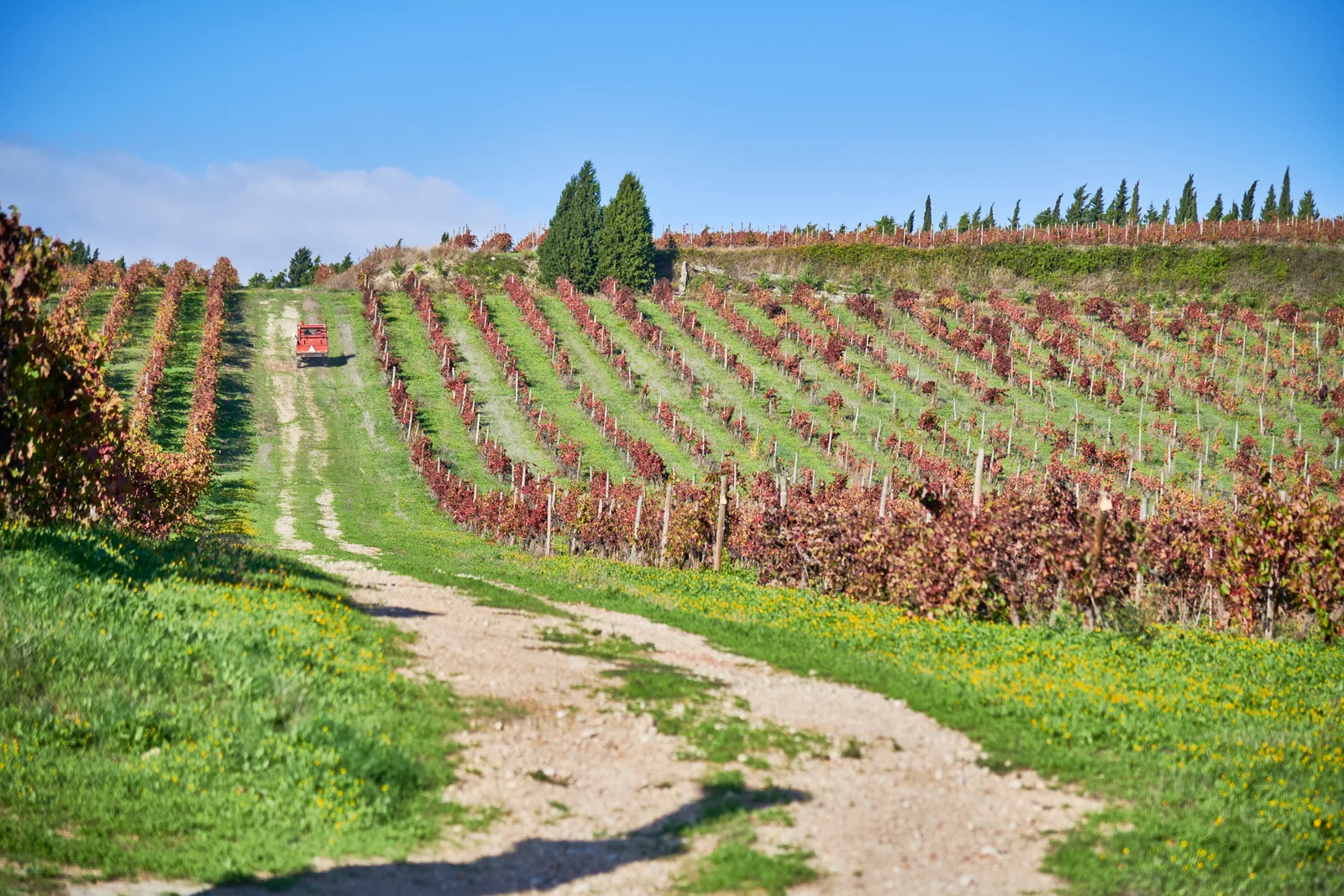 Quinta do Pinto — fotografia 11