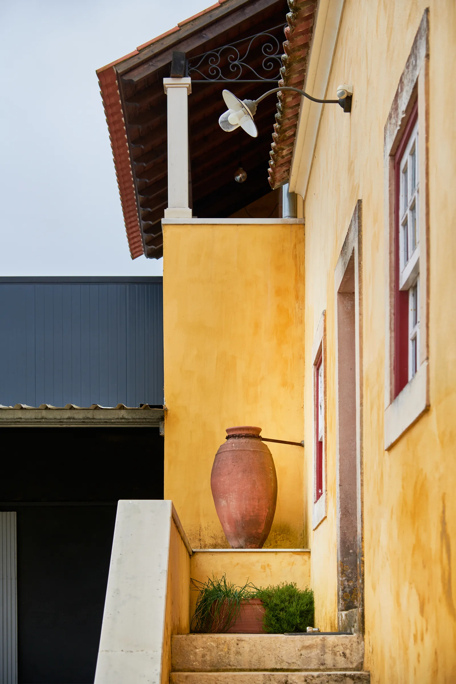 Quinta dos Capuchos — fotografia 3
