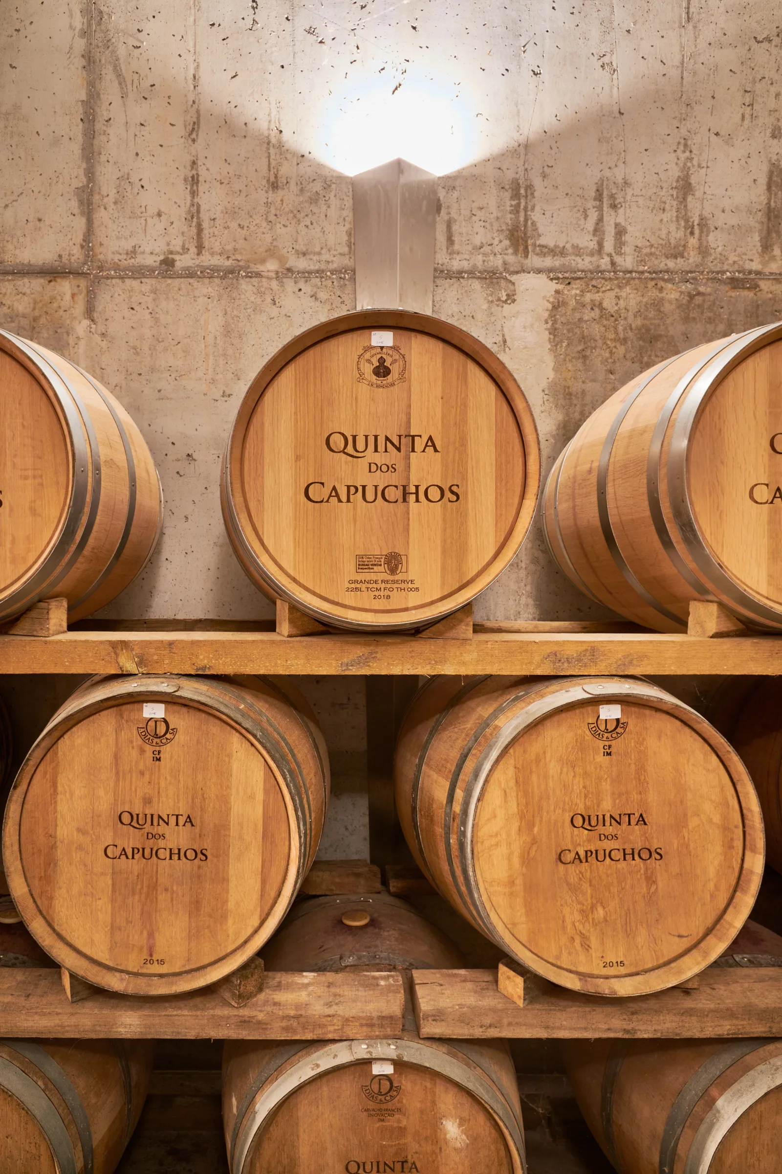 Quinta dos Capuchos — fotografia 6