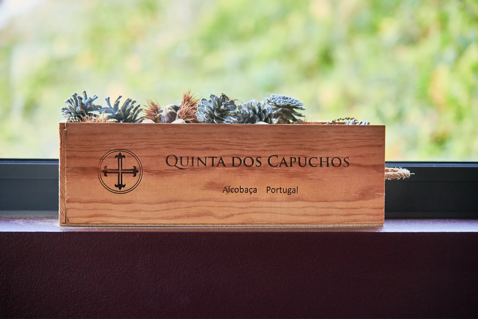 Quinta dos Capuchos — fotografia 13