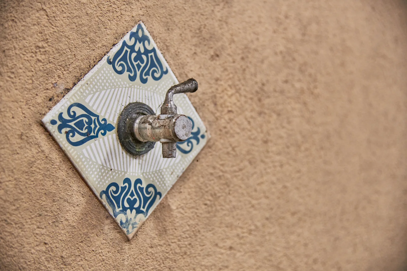 Quinta Várzea da Pedra — fotografia 10