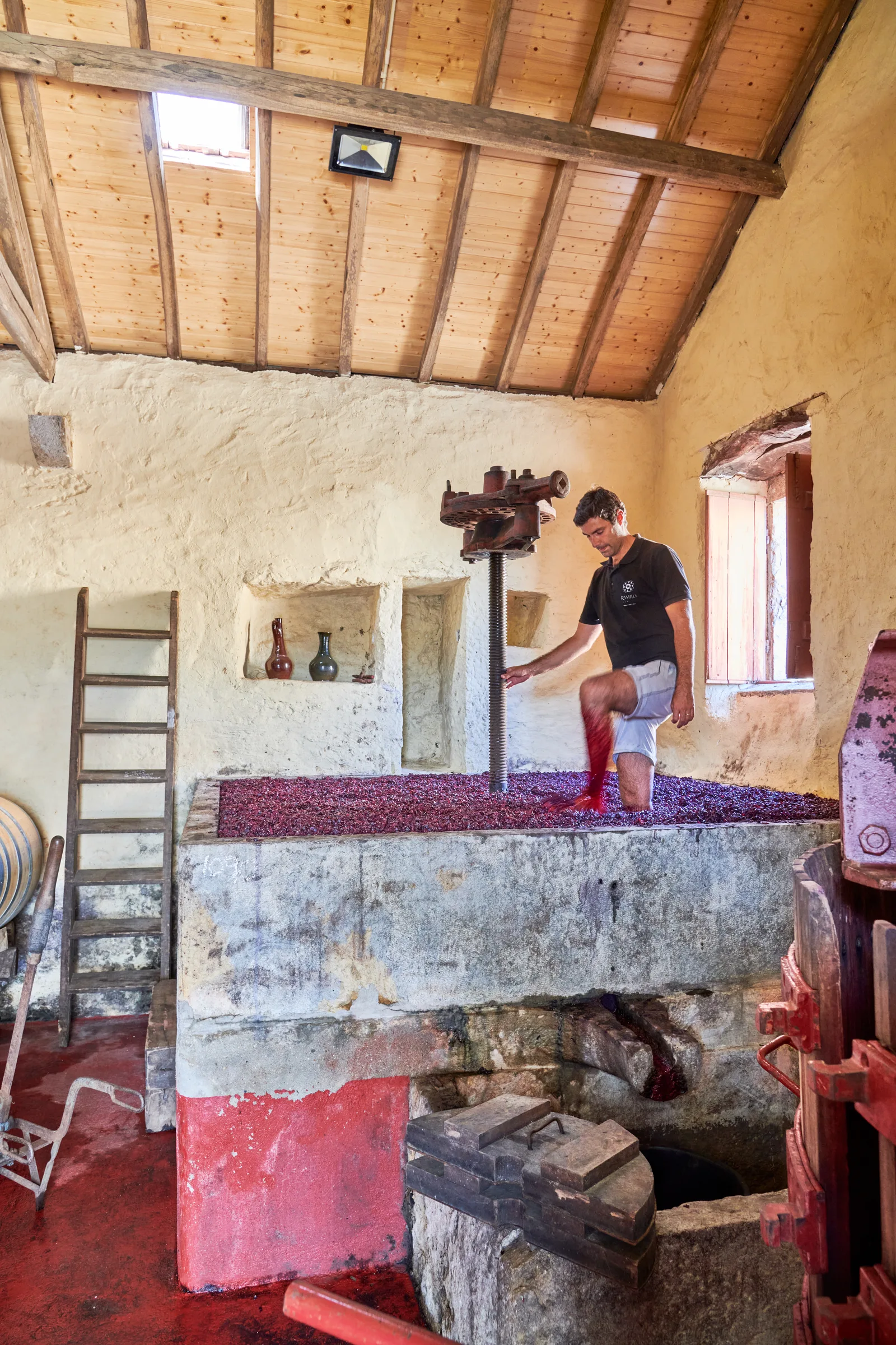 Ramilo Wines — fotografia 6