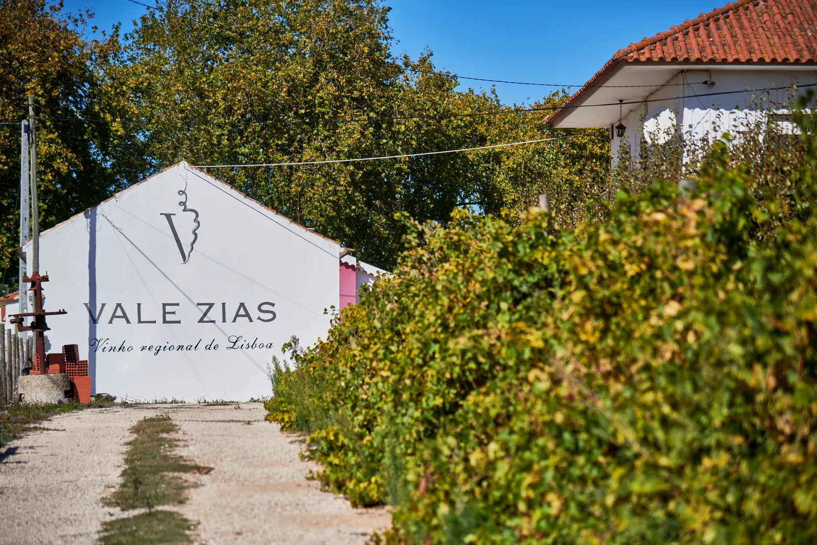 Vale Zias — fotografia 12