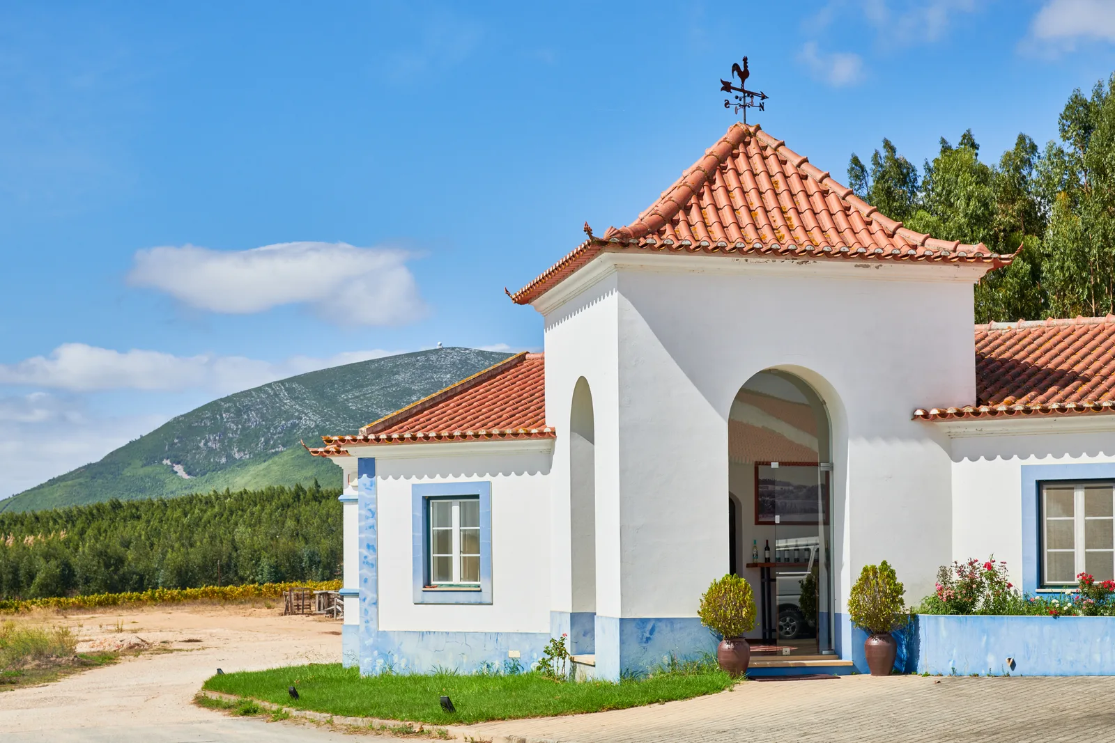 Vassala Wines — fotografia 7