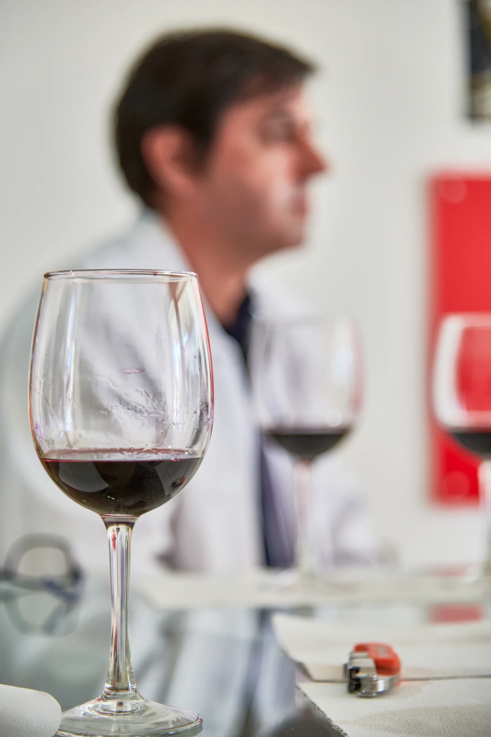 Vidigal Wines — fotografia 7