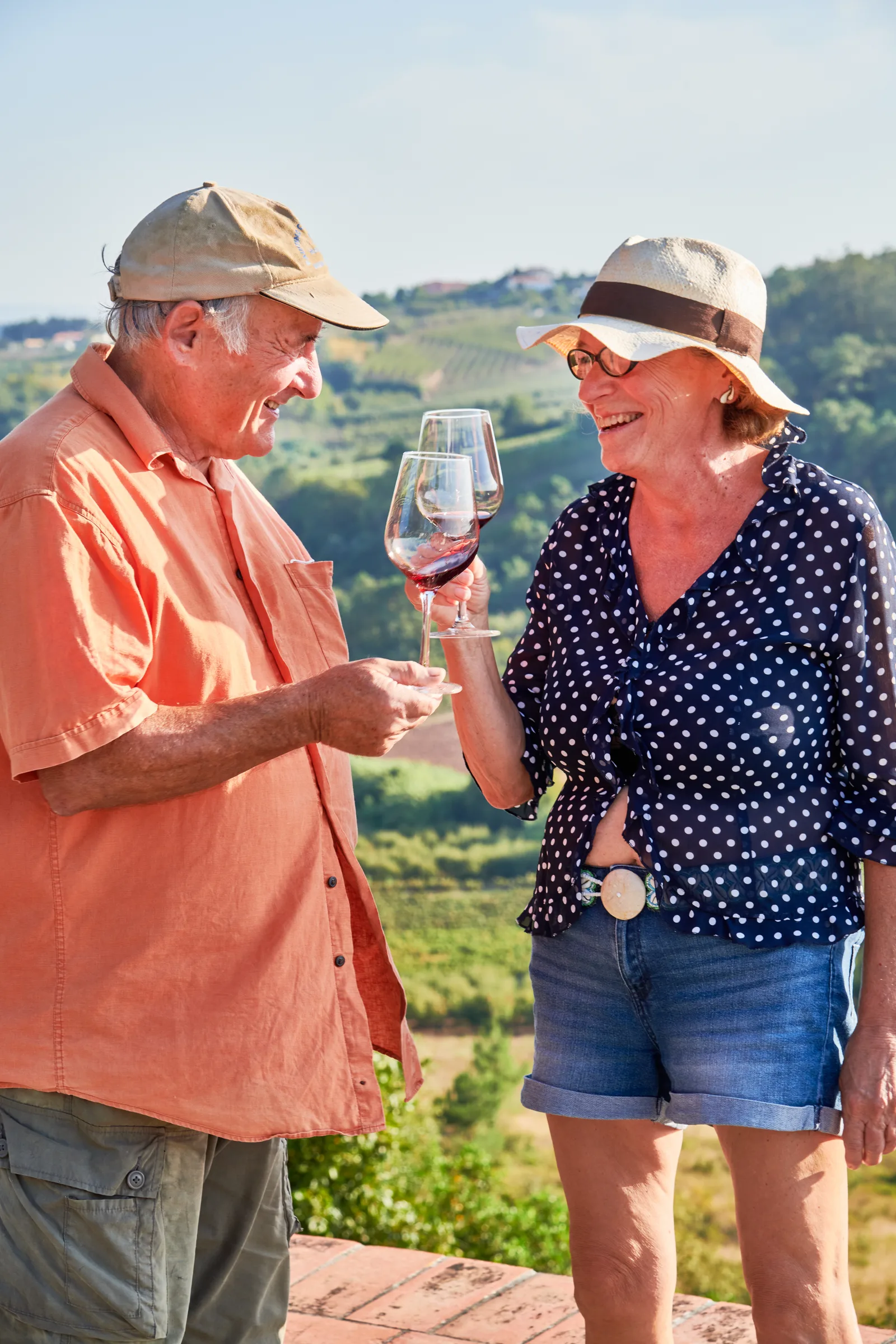 Vinhos Cortém — fotografia 6